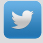 Twitter Icon