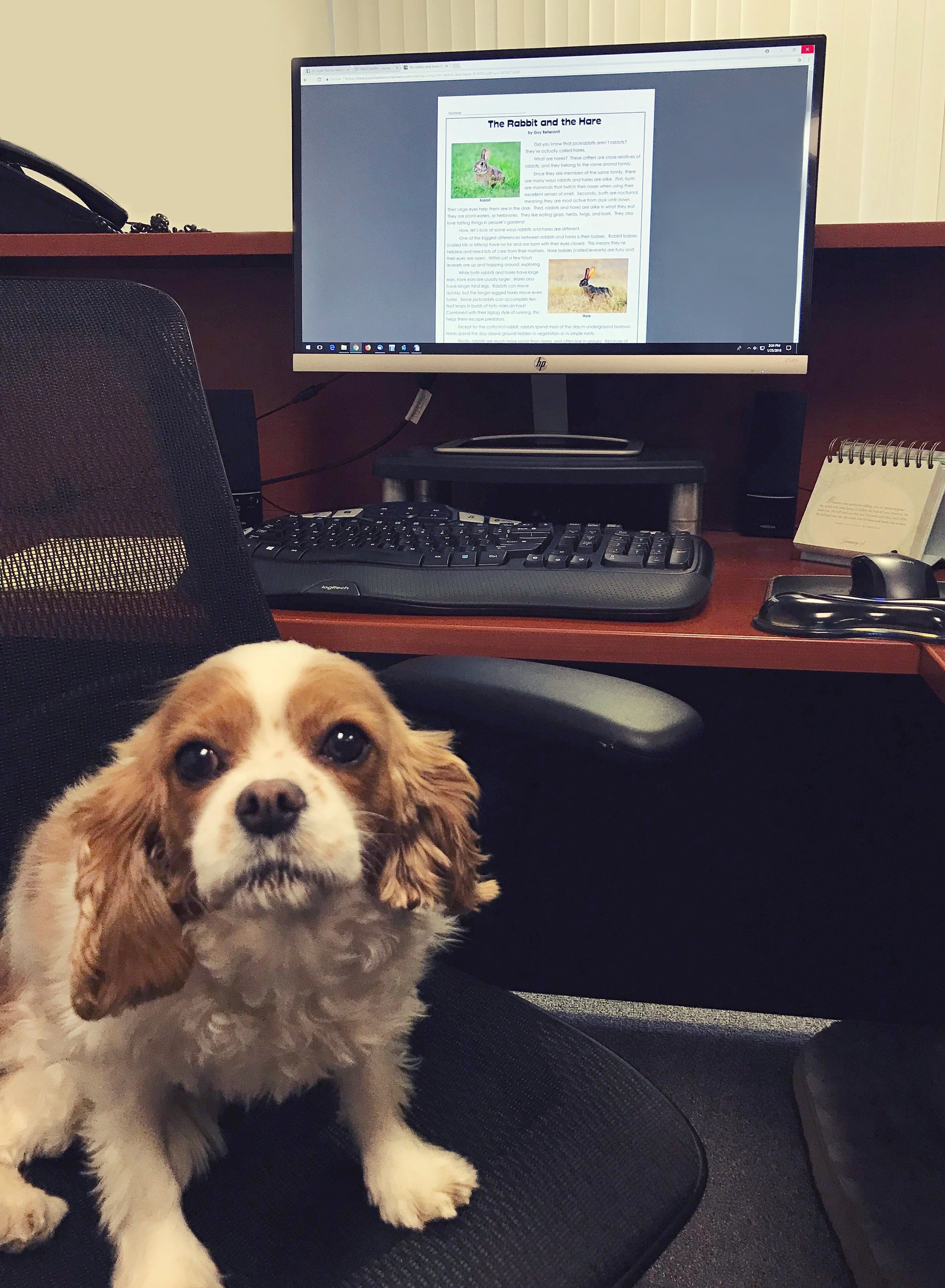 Nonfiction Animal Articles Nonfiction Animal Articles