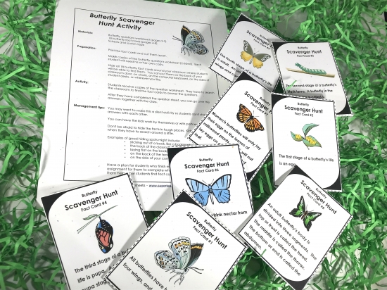 Butterfly Life Cycle Activities Butterfly Life Cycle Activities