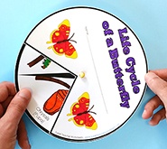 Butterfly Activities Preview
