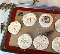 Dinosaur Fossils  Preview