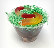 Make a Soil Layers Snack! Preview