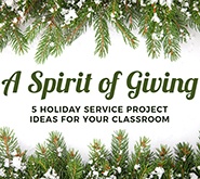 Holiday Service Projects Preview