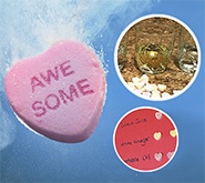 Sweetheart Science Experiment Preview