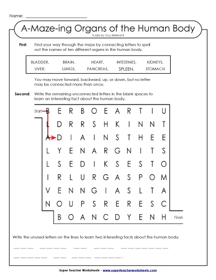 Puzzles - A-Maze-ing Human Body (Printable PDF Worksheet)