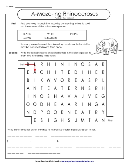 A-Maze-ing Puzzle: Rhinoceroses (Printable PDF Worksheet)