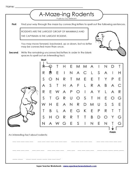 A-Maze-ing Puzzle: Rodents (Printable PDF Worksheet)
