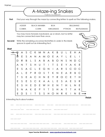 A-Maze-ing Puzzle: Snakes (Printable PDF Worksheet)