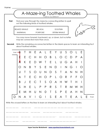 A-Maze-ing Puzzle: Toothed Whales (Printable PDF Worksheet)