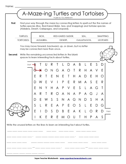 A-Maze-ing Puzzle: Turtles (Printable PDF Worksheet)