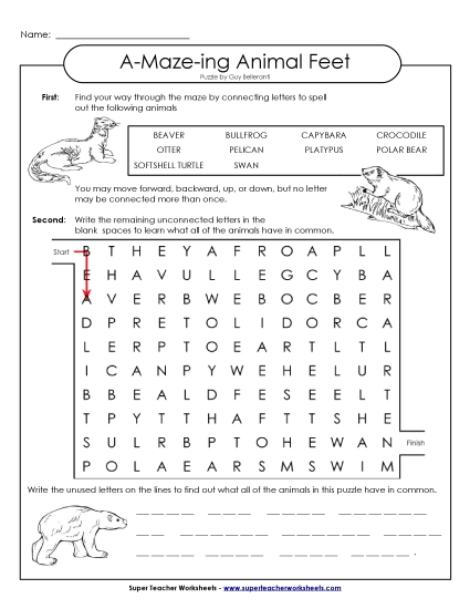A-Maze-ing Puzzle: Webbed Feet (Printable PDF Worksheet)