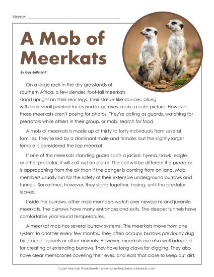 Nonfiction Articles - A Mob of Meerkats (Printable PDF Worksheet)