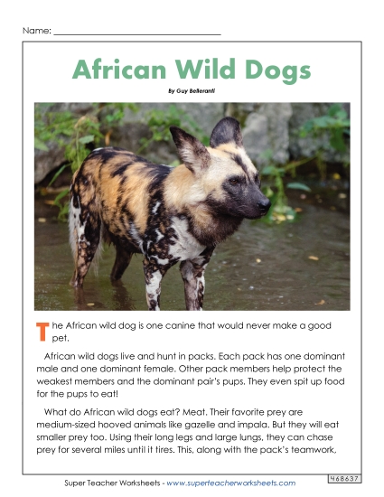 Mammals - African Wild Dogs (Printable PDF Worksheet)