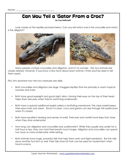 Reptiles - Alligators and Crocodiles (Printable PDF Worksheet)