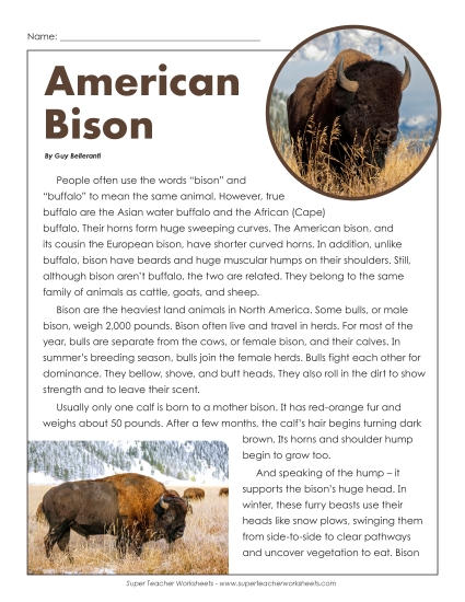 Nonfiction Articles - American Bison (Printable PDF Worksheet)