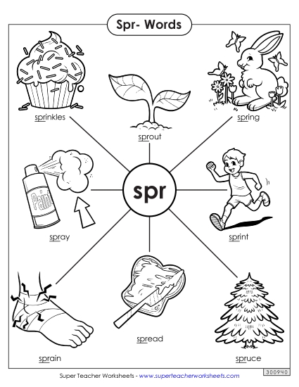 Worksheets - Anchor Chart (Spr- Words) (Printable PDF Worksheet)