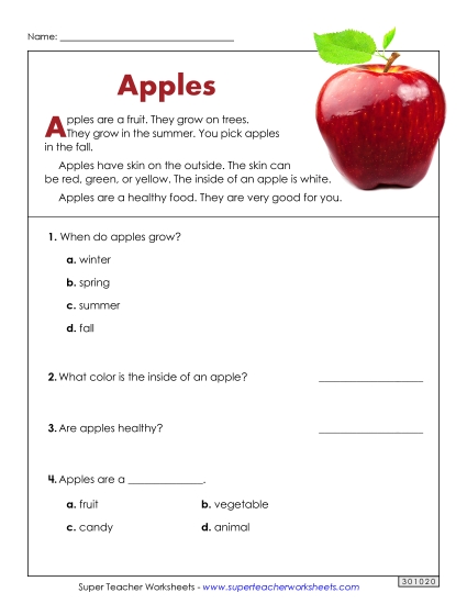 Short Passages - Apples (Short Article) (Printable PDF Worksheet)