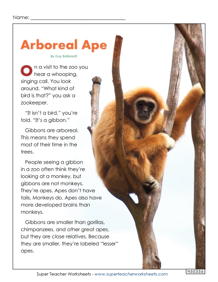 Nonfiction Articles - Arboreal Ape (Printable PDF Worksheet)