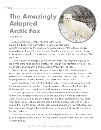 Mammals - Arctic Foxes     (Printable PDF Worksheet)