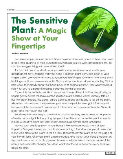 Stories & Articles - Article: Sensitive Plant (Printable PDF Worksheet)