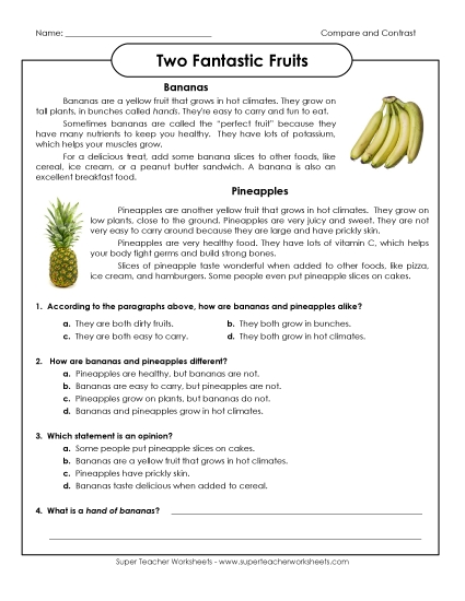 Reading Passages - Bananas and Pineapples (Printable PDF Worksheet)
