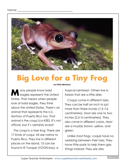 Reading Comprehension - Big Love for a Tiny Frog (Printable PDF Worksheet)