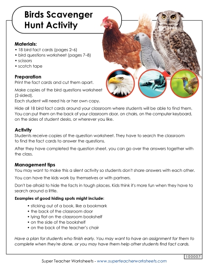 Bird Scavenger Hunt (Printable PDF Worksheet)