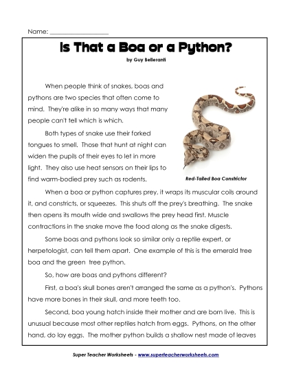 Reading Passages - Boas and Pythons: Compare/Contrast (Printable PDF Worksheet)
