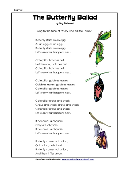 Butterfly Ballad (Printable PDF Worksheet)