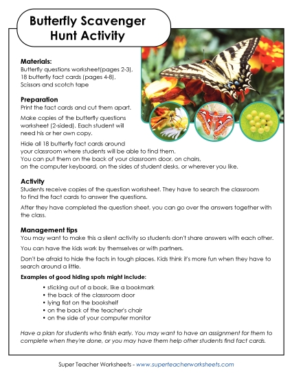Butterfly Scavenger Hunt (Printable PDF Worksheet)