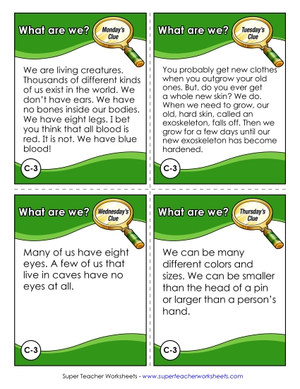 3rd Grade - C3 - Spiders (Printable PDF Worksheet)