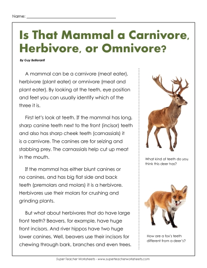Animal Topics - Carnivores, Herbivores, and Omnivores (Printable PDF Worksheet)