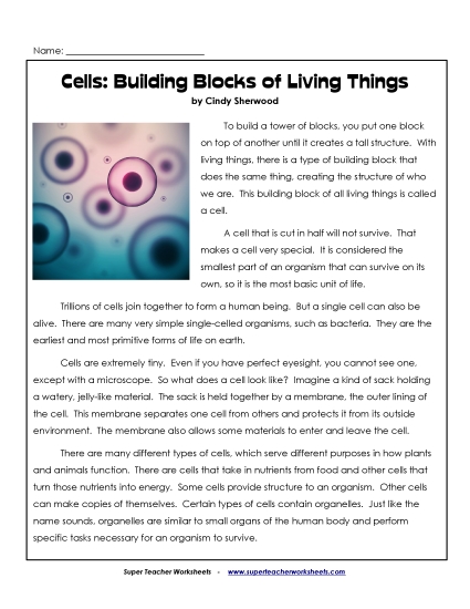 Nonfiction - Cells: Building Blocks of Living Things (Printable PDF Worksheet)