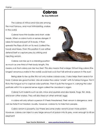 Reptiles - Cobras (Printable PDF Worksheet)