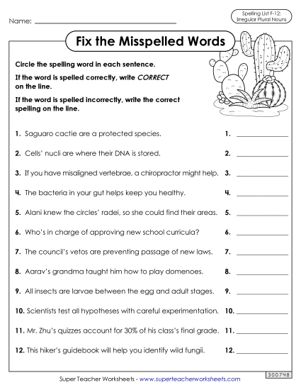 Worksheets and Puzzles - Correct or Incorrect? (F-12) (Printable PDF Worksheet)