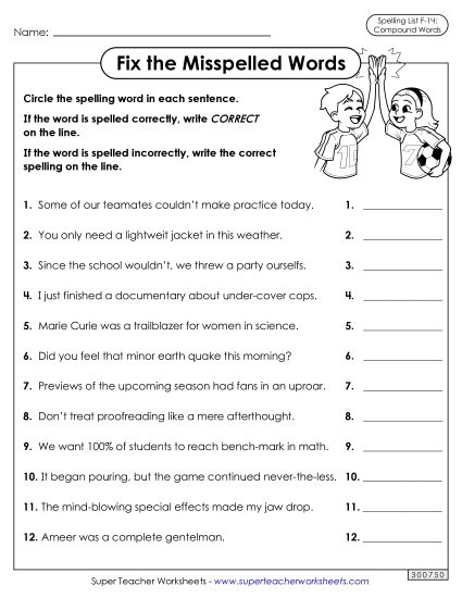 Worksheets and Puzzles - Correct or Incorrect? (F-14) (Printable PDF Worksheet)