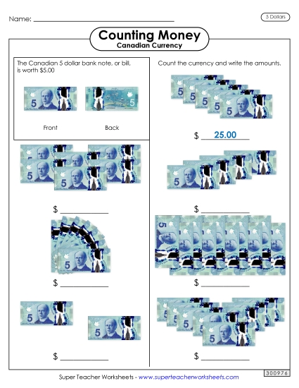 Basic (Single Coins & Bills) - Counting Fives (Printable PDF Worksheet)