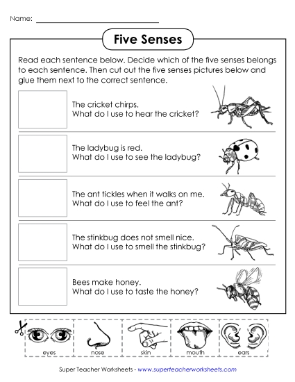 Cut & Glue Activities - Cut & Glue: Insects (Printable PDF Worksheet)