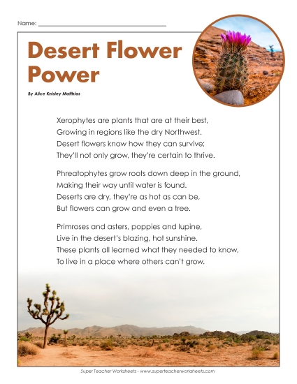 Poems - Desert Flower Power (Poem) (Printable PDF Worksheet)
