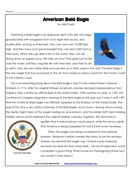 Birds - Eagle (Long) (Printable PDF Worksheet)