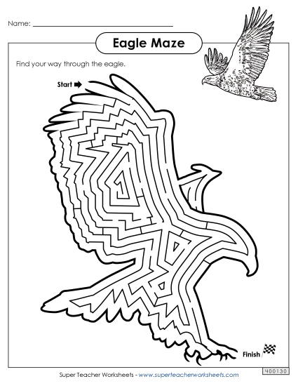 Bald Eagle - Eagle Maze (Printable PDF Worksheet)