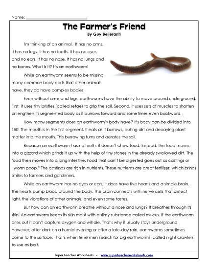 Other Animals - Earthworms (Printable PDF Worksheet)