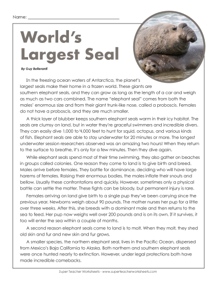 Nonfiction - Elephant Seals (Printable PDF Worksheet)