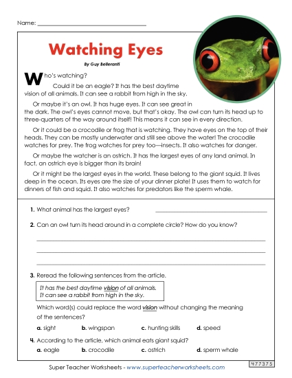 Animal Topics - Eyes and Vision (Short Article) (Printable PDF Worksheet)