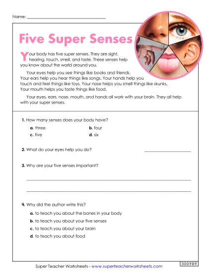 Short Passages - Five Super Senses (Nonfiction) (Printable PDF Worksheet)