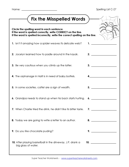Worksheets - Fix the Mistakes (C-27)  (Printable PDF Worksheet)