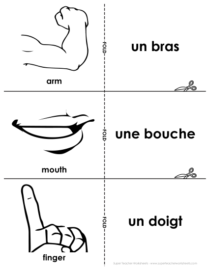 Body Parts (Parties du corps) - Flashcards: Body Parts (Printable PDF Worksheet)