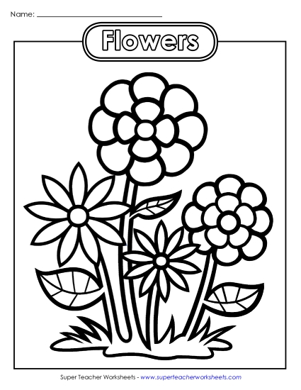 Basic Pictures (For Younger Students) - Flowers (Printable PDF Worksheet)
