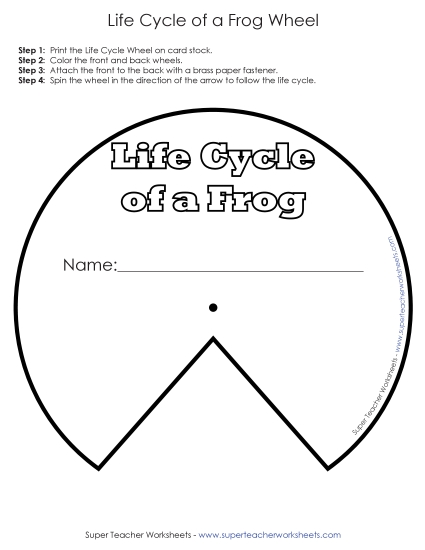 Activities - Frog Life Cycle Wheel (Printable PDF Worksheet)