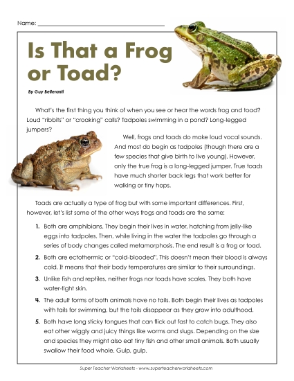 Amphibians - Frogs and Toads (Printable PDF Worksheet)